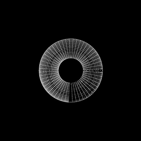 Torus 3d lineas de frente